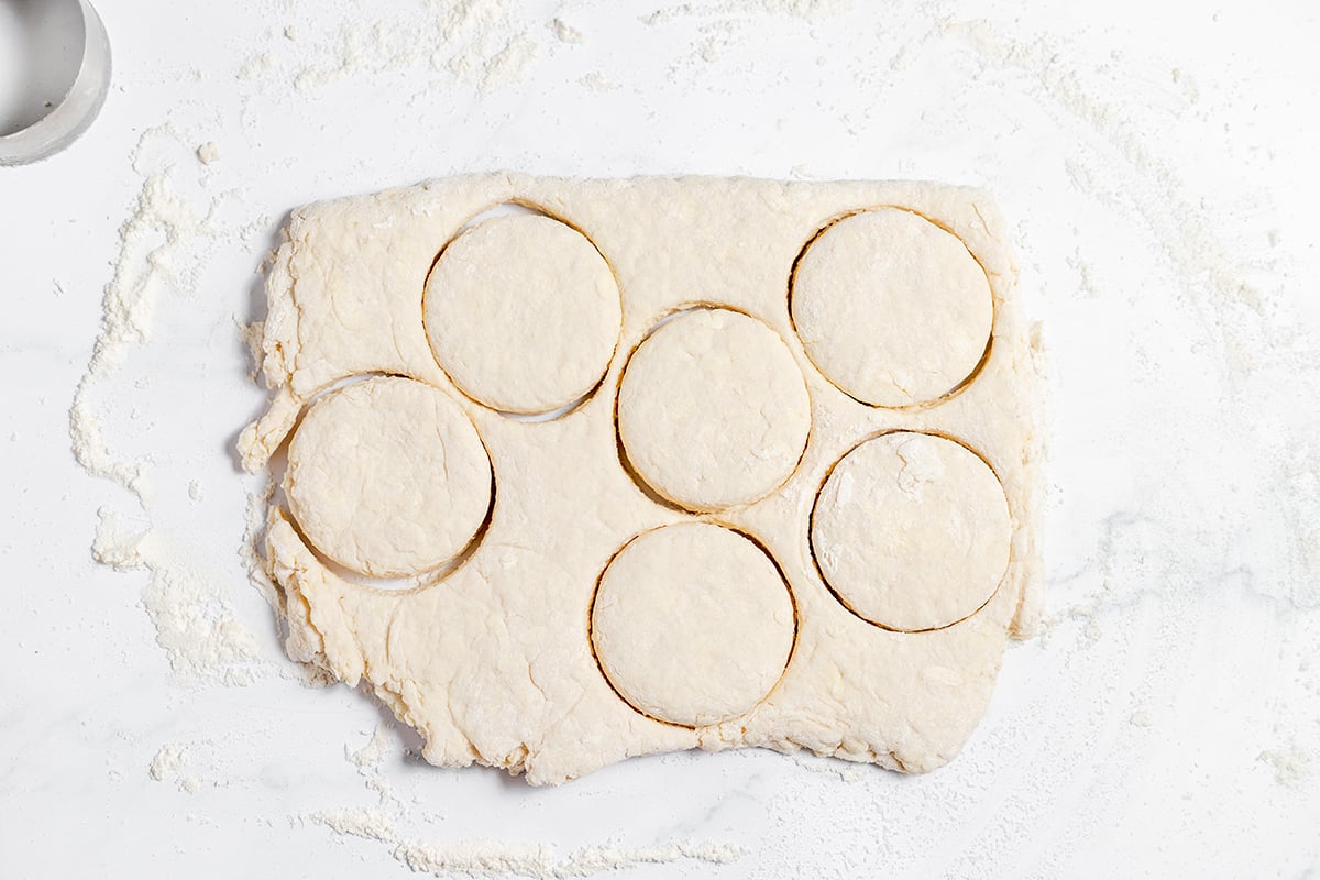Biscuit dough cut with round biscuit cutter.