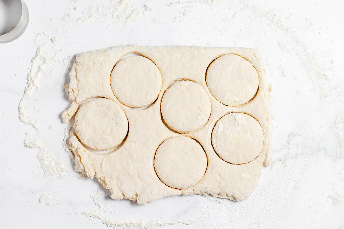 Biscuit dough cut with round biscuit cutter.