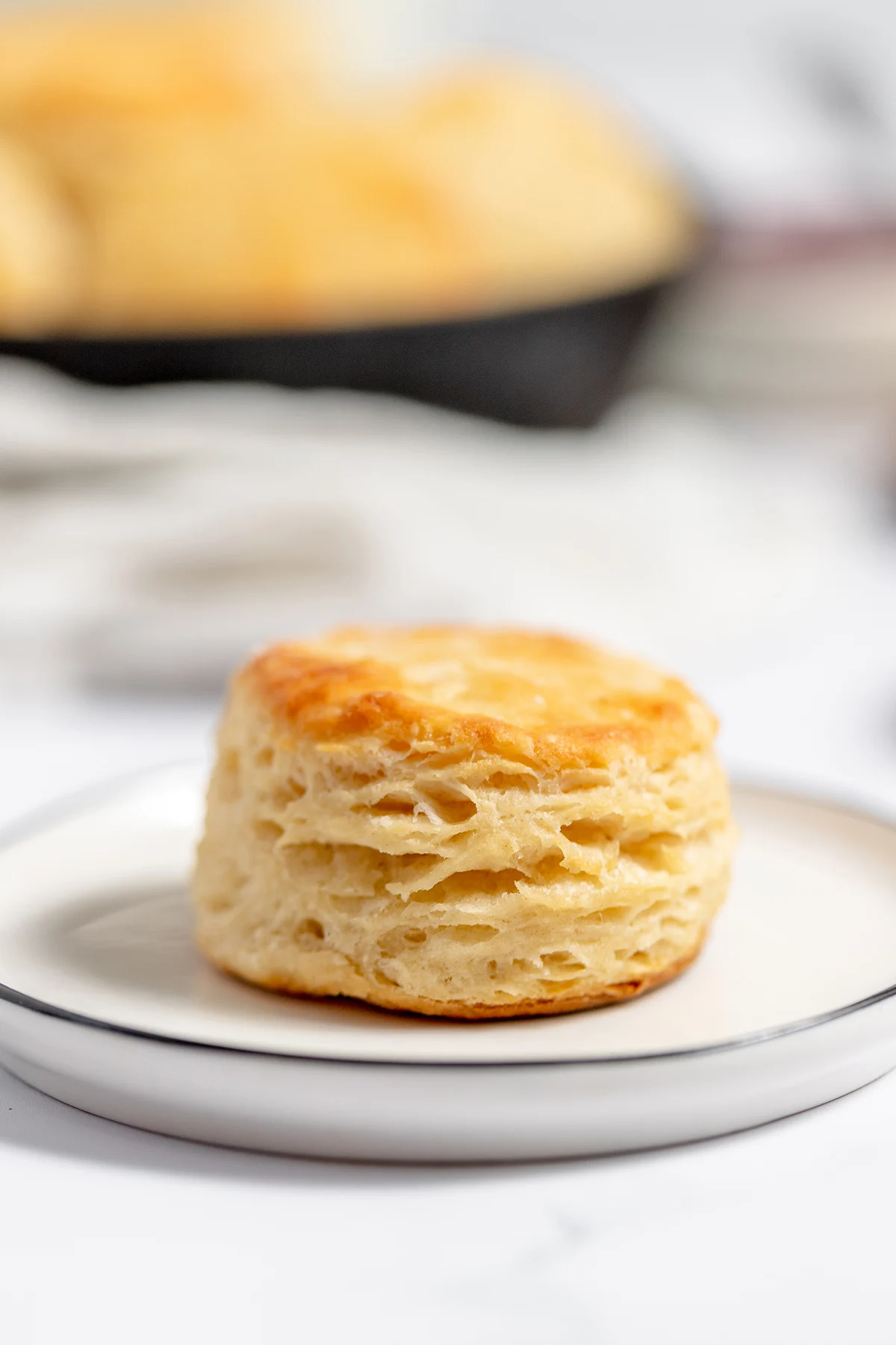 One Buttermilk Biscuit on white plate.