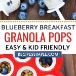 Blueberry Breakfast Granola Pops