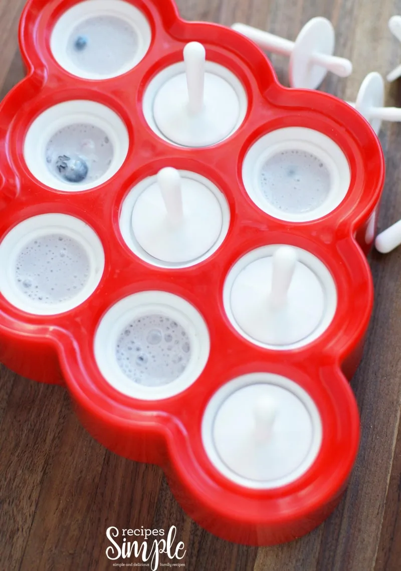 Popsicle tray with mixture poured in