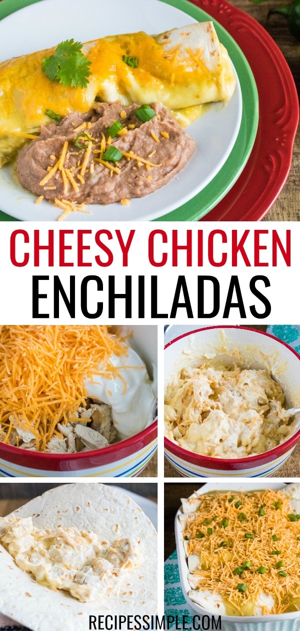 Delicious cheesy creamy chicken enchiladas with only six ingredients will be a family favorite easy dinner. #chickenenchiladas #chickenrecipes #mexicanfoodrecipes