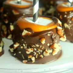Turtle Dipped Marshmallows