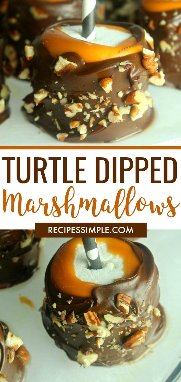 Jumbo marshmallows layered with creamy caramel and dark chocolate then sprinkled with pecans to make an easy delicious treat! #marshmallowpops #marshmallowsonastick #easydesserts #turtlemarshmallowpops #carmeldesserts #chocolatedesserts