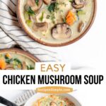 Chicken Mushroom soup in stockpot and a serving in a bowl.