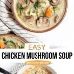 Chicken Mushroom soup in stockpot and a serving in a bowl.