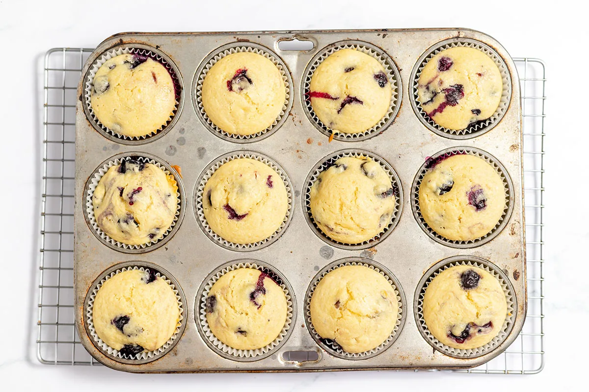 Baked Blueberry Lemon Muffins in a muffin pan.