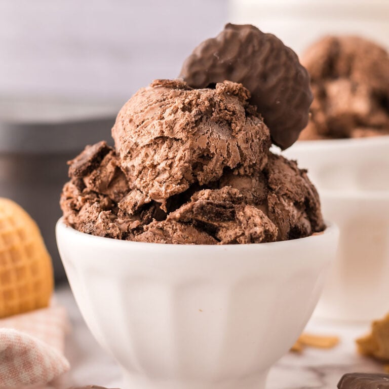 Thin mint ice cream in a white dessert bowl.