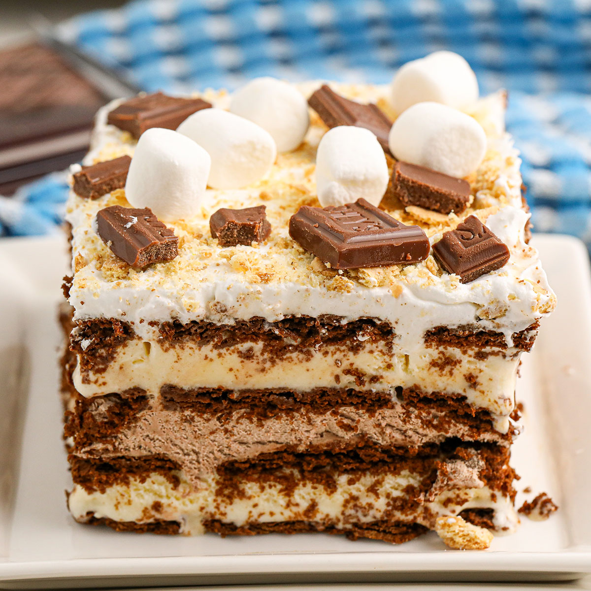 S'mores Ice Cream Sandwich Cake Recipe