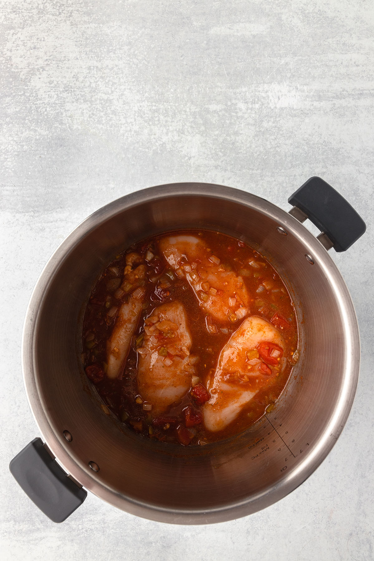 Chicken, onions, garlic, chicken broth, and seasonings in the Instant Pot.